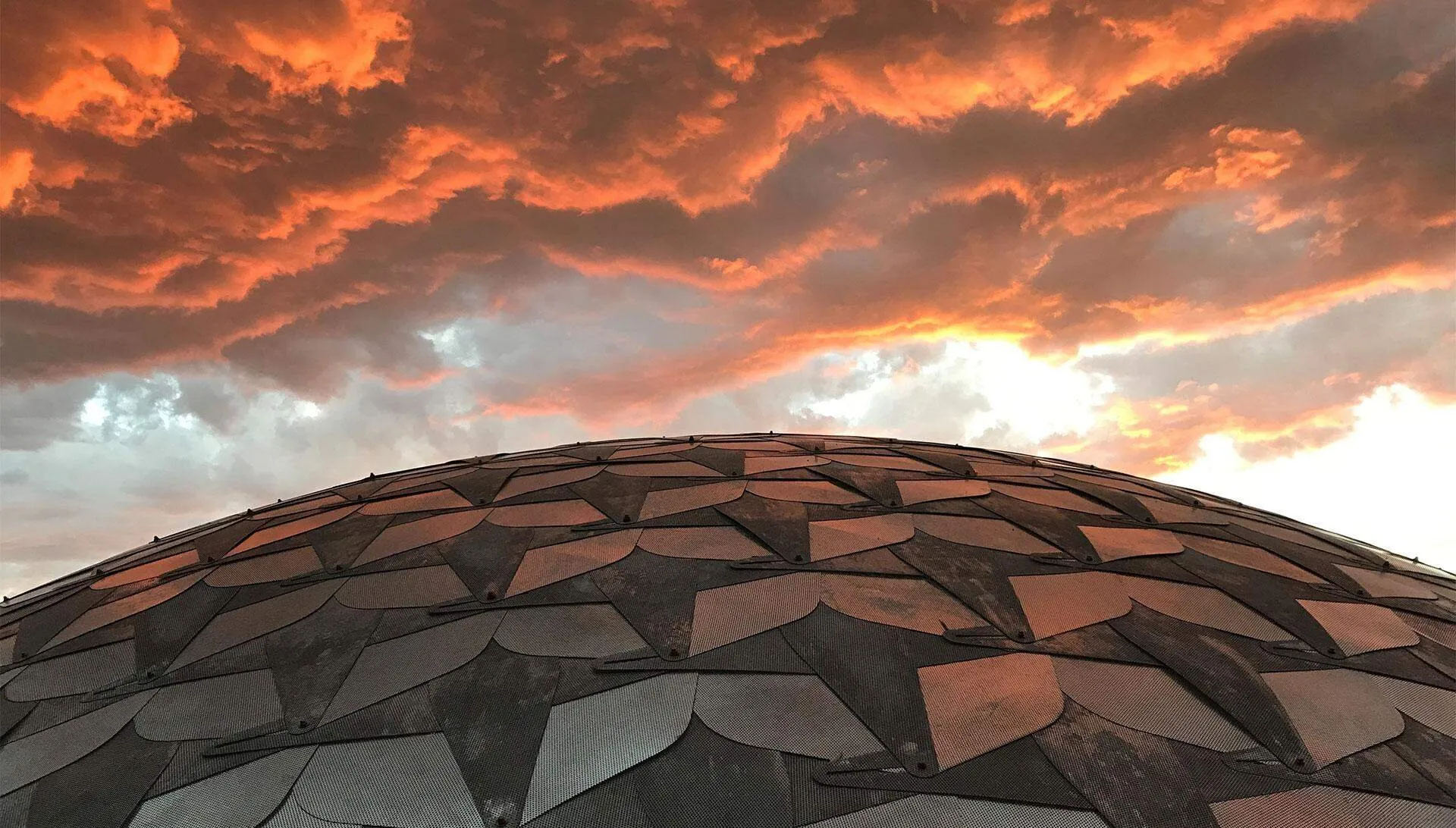 shell at sunset